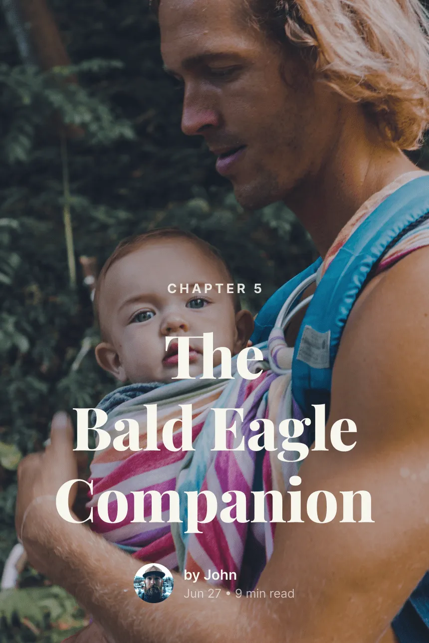 The Bald Eagle Companion